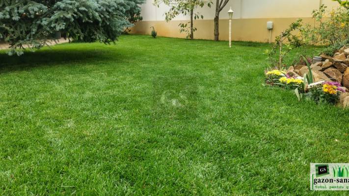 Amenajare curte 120mp