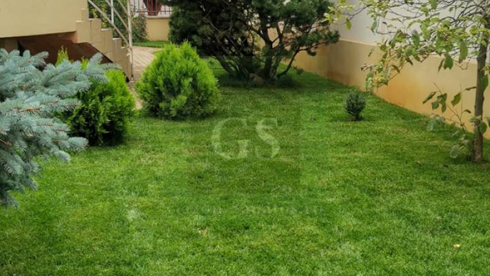 Amenajare curte 120mp