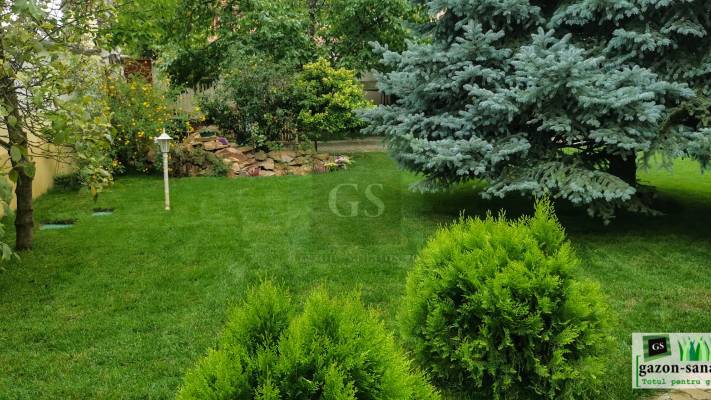 Amenajare curte 120mp