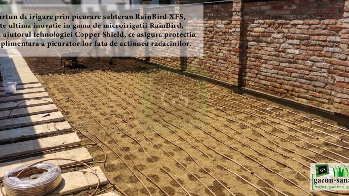 Irigare subterana 550ml