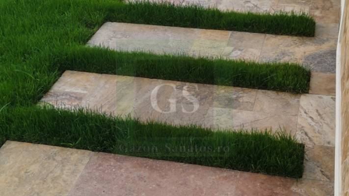 Irigare subterana 550ml