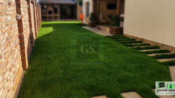 Irigare subterana 550ml