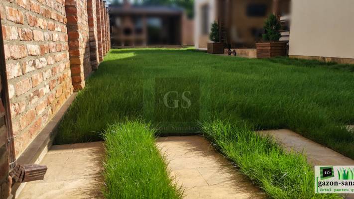 Irigare subterana 550ml