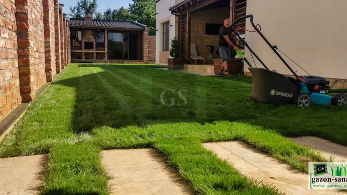 Irigare subterana 550ml