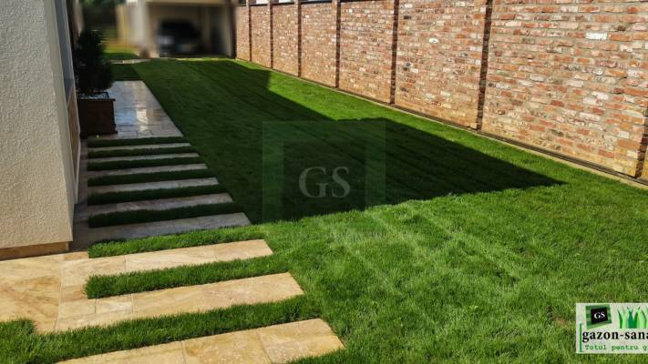 Irigare subterana 550ml