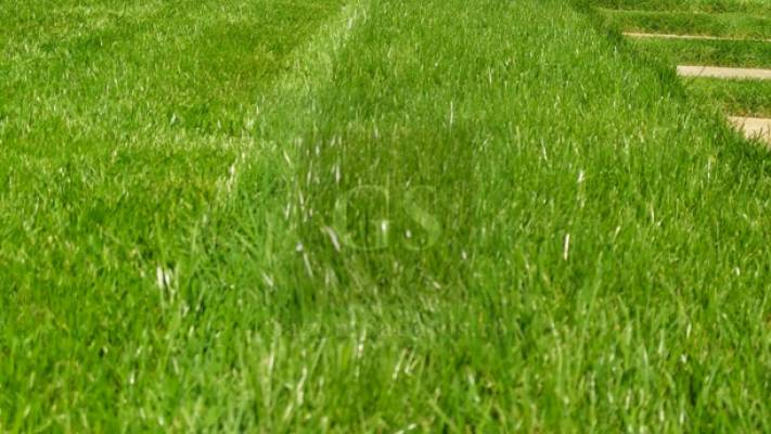 Irigare subterana 550ml