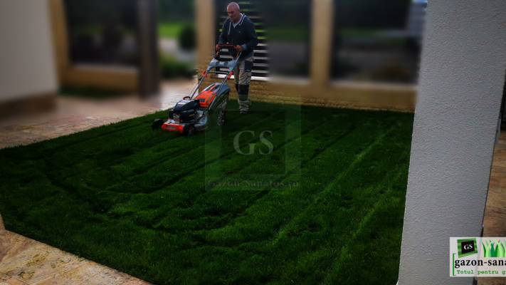 Irigare subterana 550ml