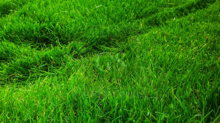 Irigare subterana 550ml