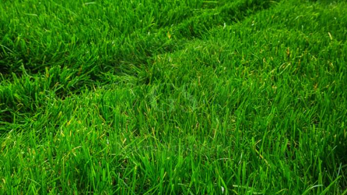 Irigare subterana 550ml