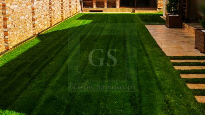 Irigare subterana 550ml