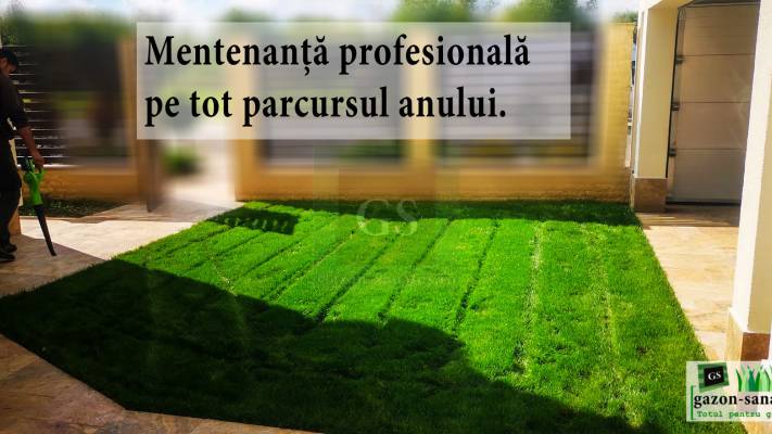 Irigare subterana 550ml