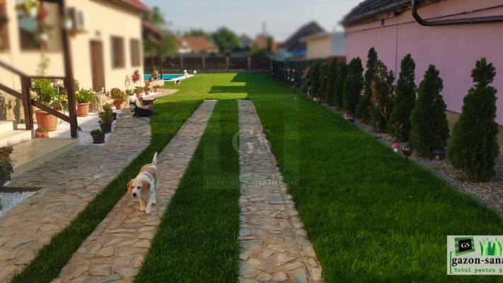 Amenajare curte 400mp