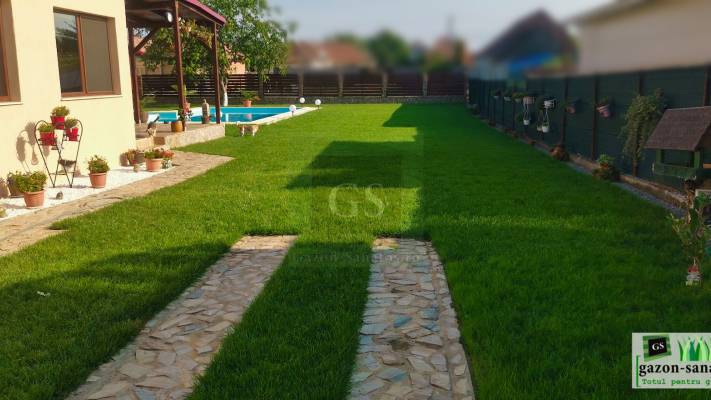 Amenajare curte 400mp