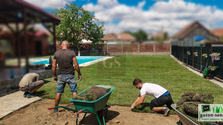 Amenajare curte 400mp