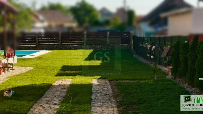 Amenajare curte 400mp