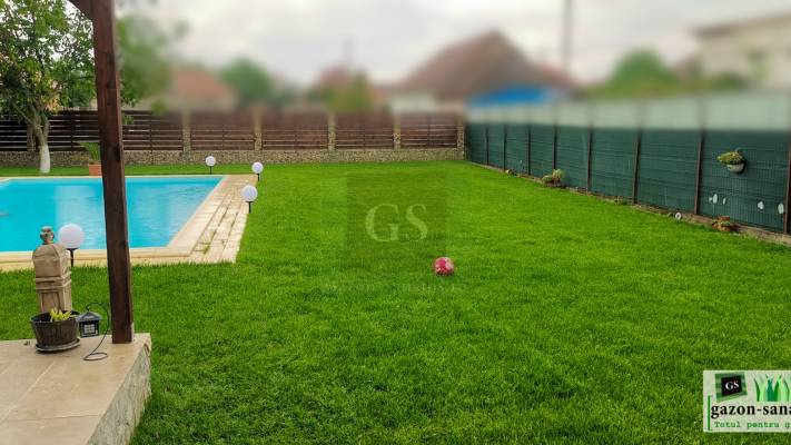 Amenajare curte 400mp