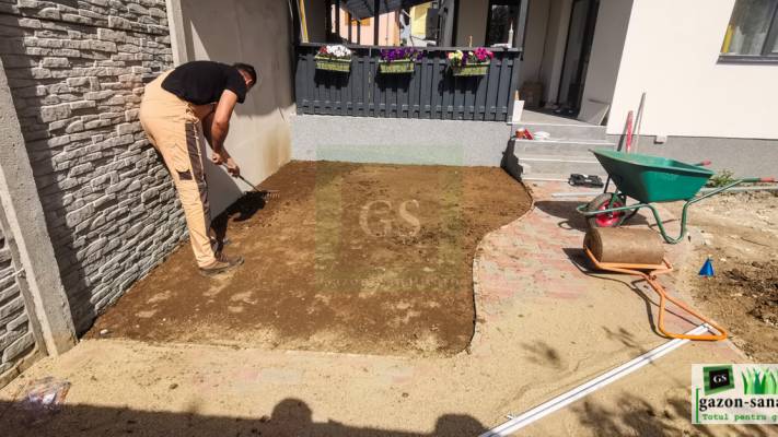 Amenajare Curte Mică