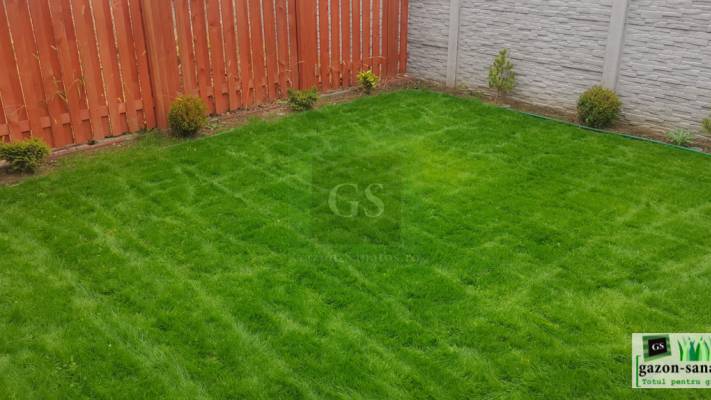 Amenajare Curte Mică