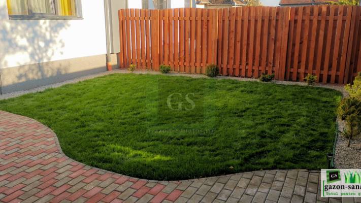 Amenajare Curte Mică