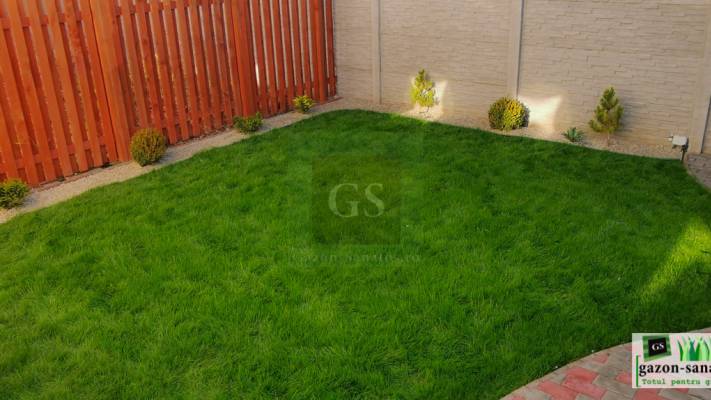 Amenajare Curte Mică