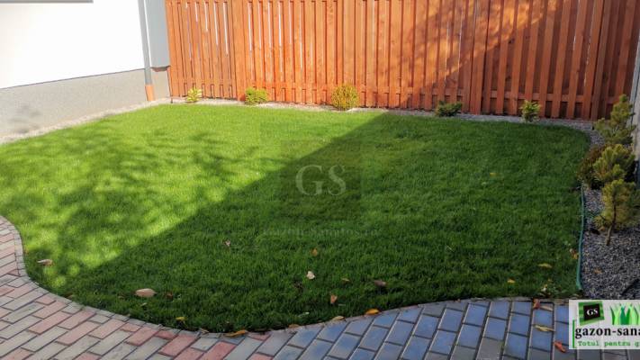 Amenajare Curte Mică