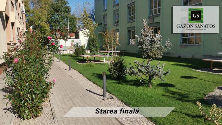 Scoala Postliceala Sanitara Arad si Colegiul Vasile Goldis