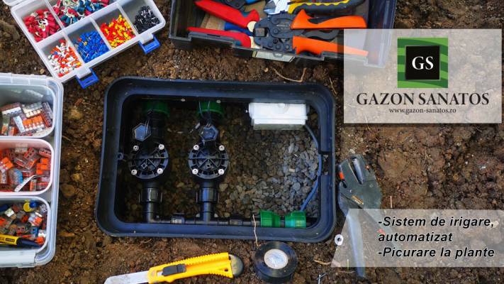 Scoala Postliceala Sanitara Arad si Colegiul Vasile Goldis