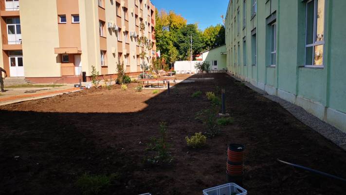 Scoala Postliceala Sanitara Arad si Colegiul Vasile Goldis