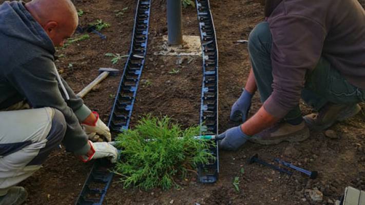 Scoala Postliceala Sanitara Arad si Colegiul Vasile Goldis