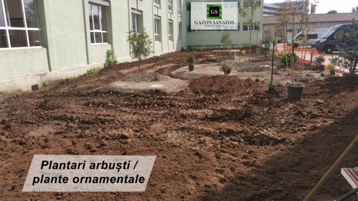 Scoala Postliceala Sanitara Arad si Colegiul Vasile Goldis