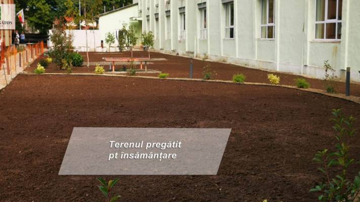 Scoala Postliceala Sanitara Arad si Colegiul Vasile Goldis