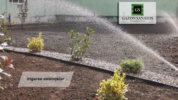 Scoala Postliceala Sanitara Arad si Colegiul Vasile Goldis