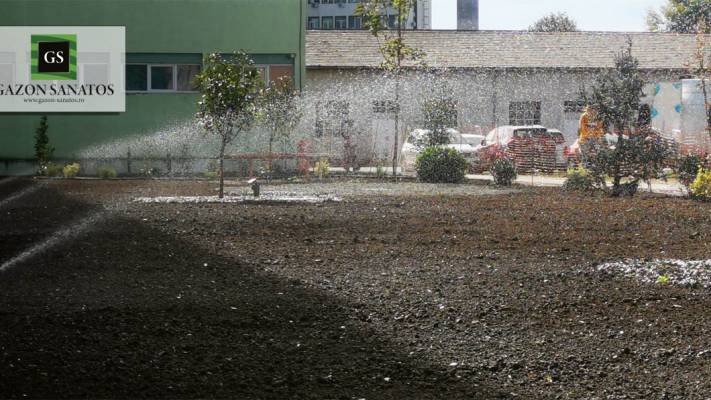 Scoala Postliceala Sanitara Arad si Colegiul Vasile Goldis