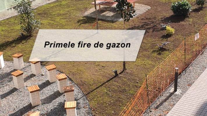 Scoala Postliceala Sanitara Arad si Colegiul Vasile Goldis