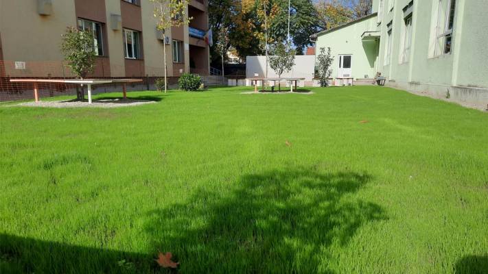 Scoala Postliceala Sanitara Arad si Colegiul Vasile Goldis