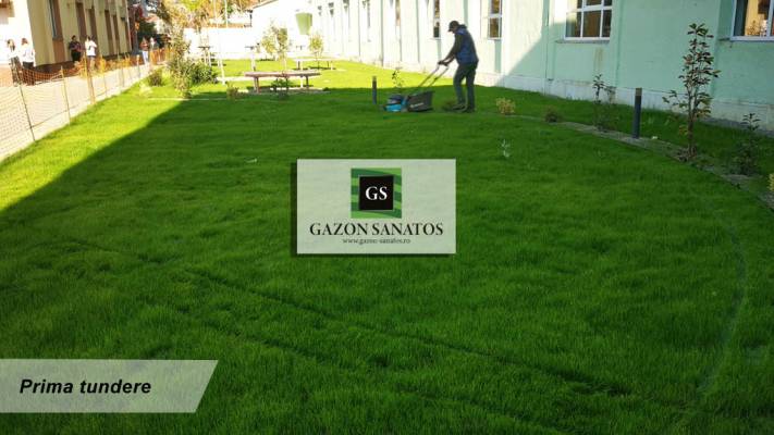 Scoala Postliceala Sanitara Arad si Colegiul Vasile Goldis