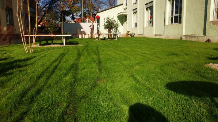 Scoala Postliceala Sanitara Arad si Colegiul Vasile Goldis