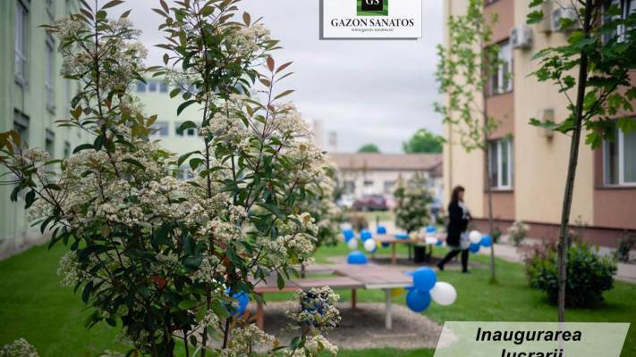 Scoala Postliceala Sanitara Arad si Colegiul Vasile Goldis