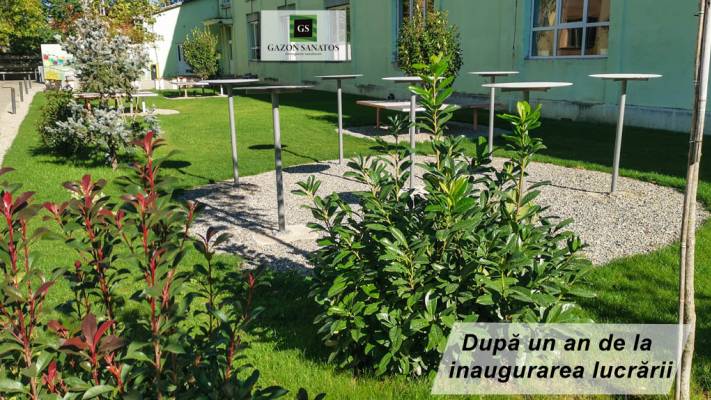 Scoala Postliceala Sanitara Arad si Colegiul Vasile Goldis