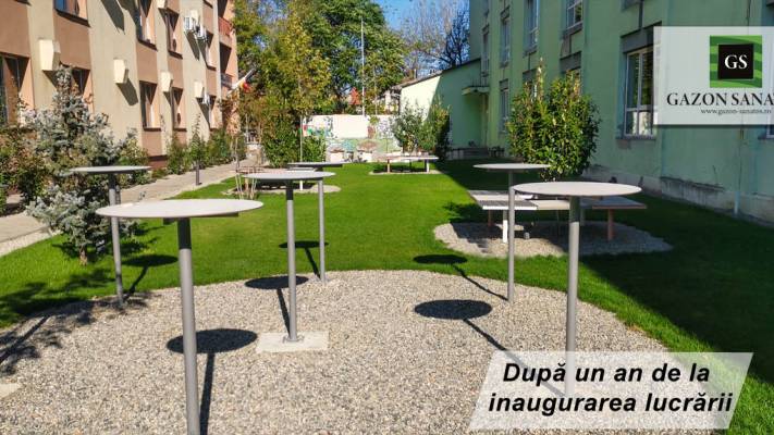 Scoala Postliceala Sanitara Arad si Colegiul Vasile Goldis