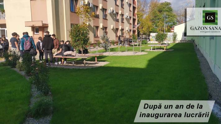 Scoala Postliceala Sanitara Arad si Colegiul Vasile Goldis