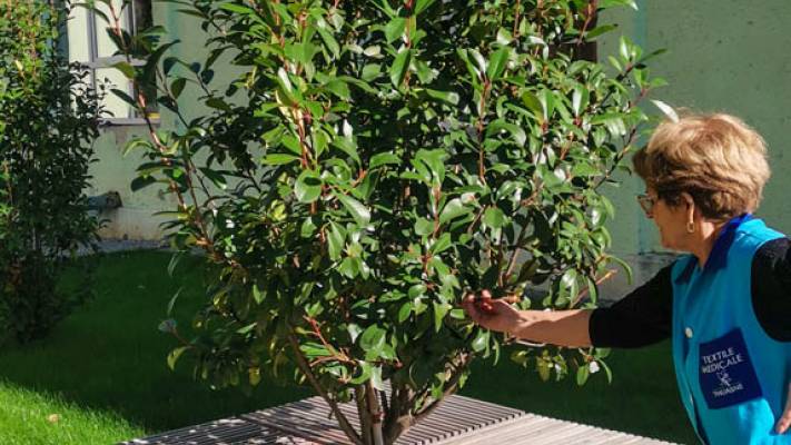 Scoala Postliceala Sanitara Arad si Colegiul Vasile Goldis