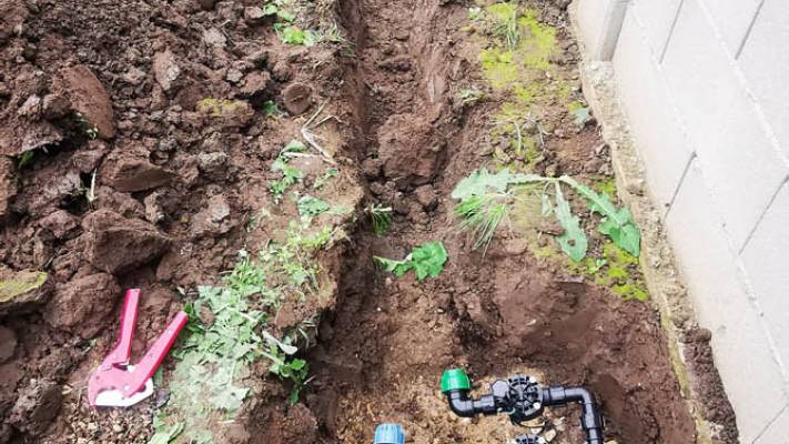 Amenajare curte ViaCarmina