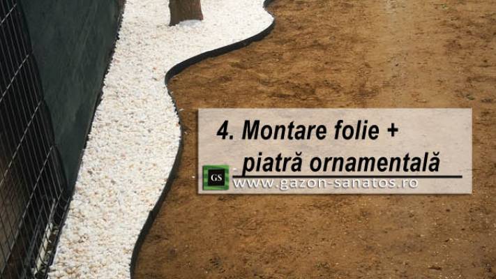 Amenajare curte ViaCarmina