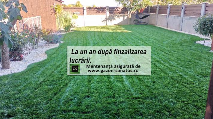 Amenajare curte ViaCarmina