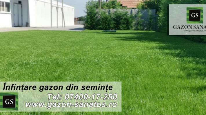 Insamntare Gazon 600mp