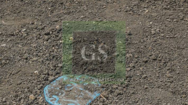 Amenajare Sediu Firma