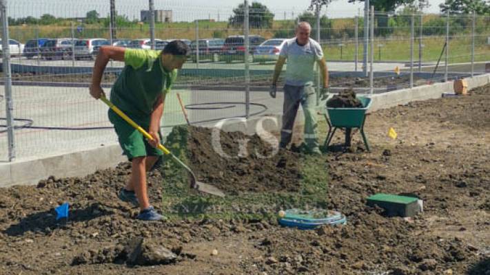 Amenajare Sediu Firma