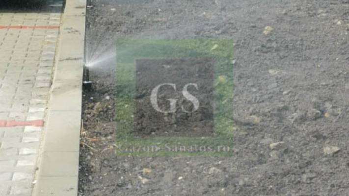 Amenajare Sediu Firma