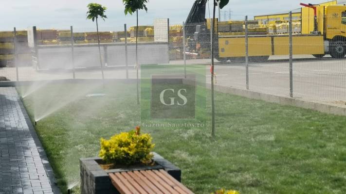 Amenajare Sediu Firma